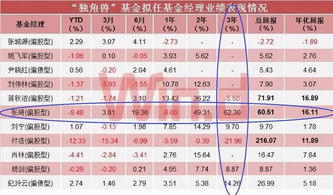 基金公司管理戰(zhàn)略配售基金 投資管理能力的關鍵維度